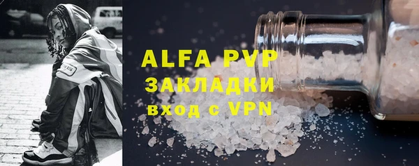 гашик Дмитриев